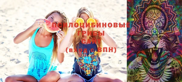 spice Белокуриха